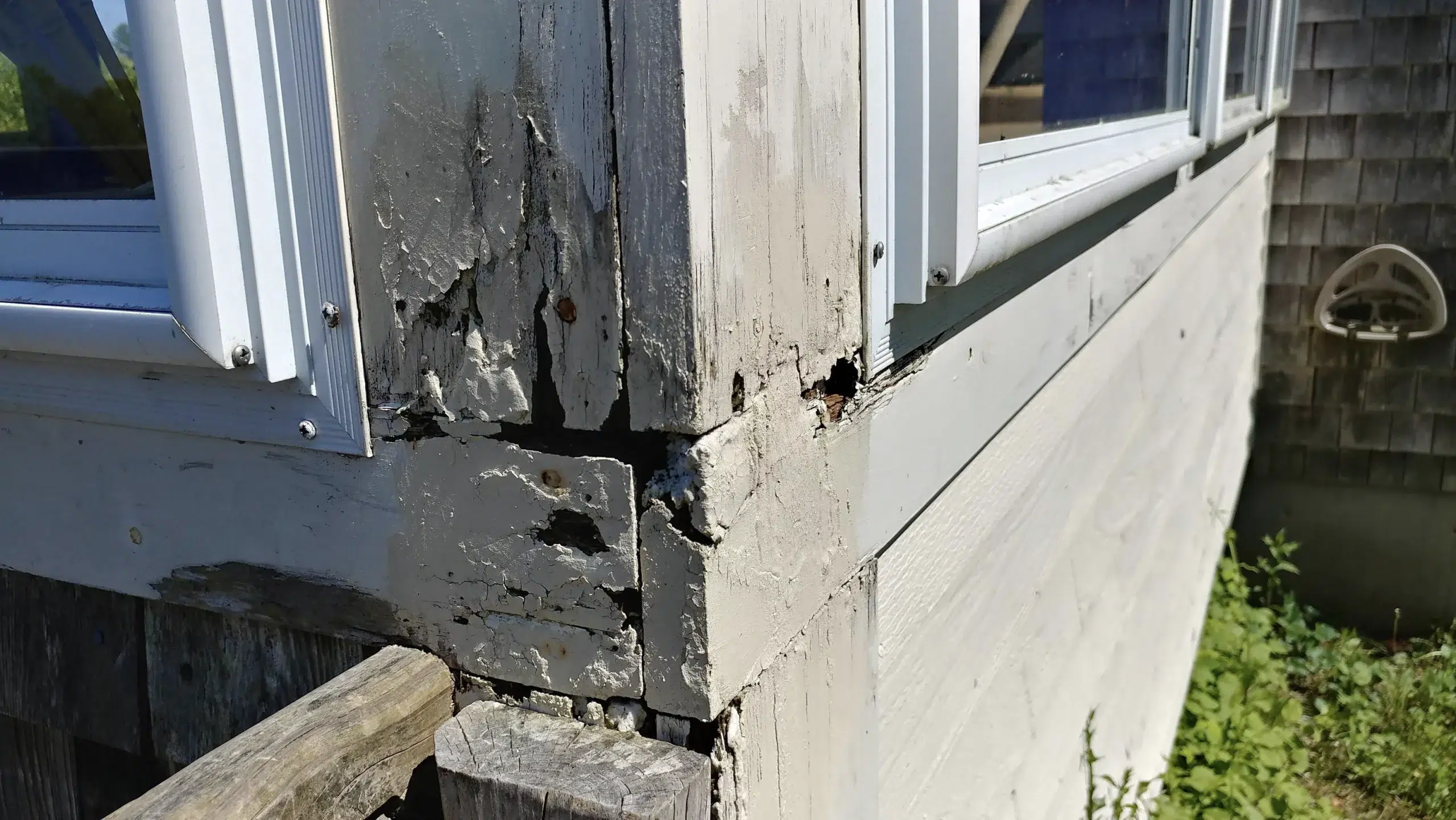 2024 January 18 Vista Painters painting contractors corner window trim dry rot example
