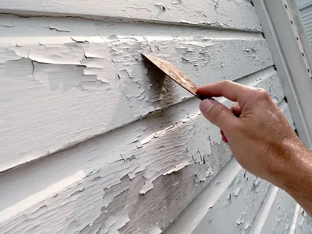 2024 January 18 Vista Painters painting contractors scraping and peeling paint on home siding